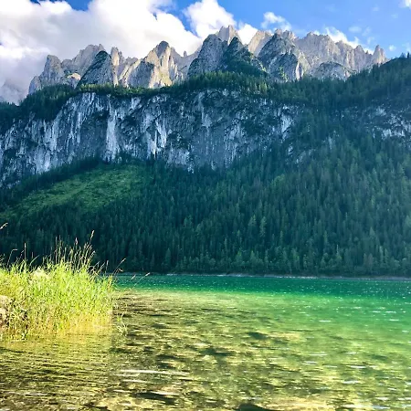 209 Appartamento Gosau